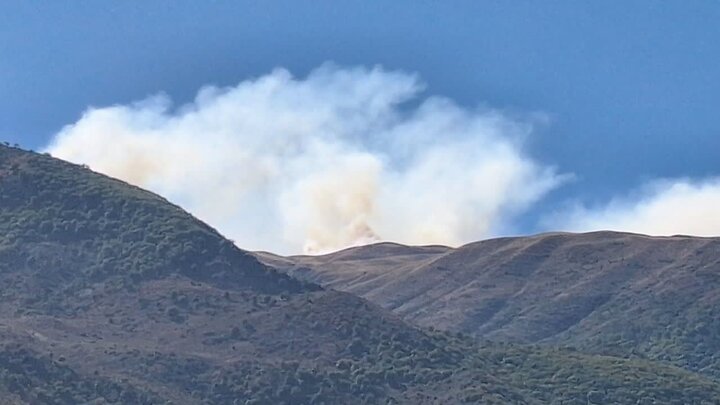 حمله به سازمان منابع طبیعی را به نهادهای سازمان ملل منعکس کرده‌ایم