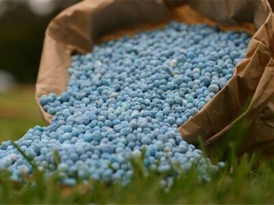 دغدغه‌های تولید کود در روزهای سخت؛ ضرورت بازنگری روند تخصیص ارز و مجوز