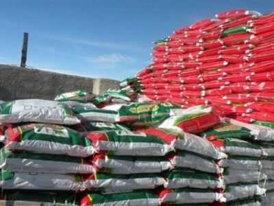 رشد‌ ۵۰ درصدی قیمت جهانی اوره نسبت به قبل از جنگ