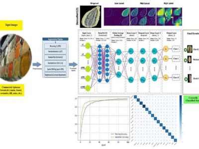 ساخت اپلیکیشن تشخیص تقلب گیاهان دارویی با هوش مصنوعی