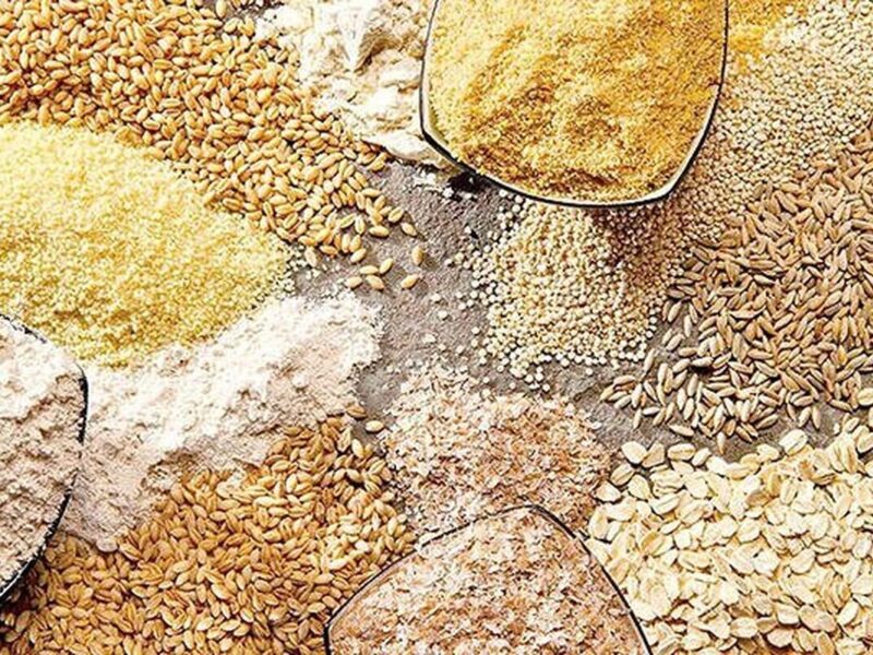 محدودیت واردات از طریق بنادر جنوبی کشور / اولین محموله نهاده دامی نیز از بنادر شمالی وارد کشور شده است