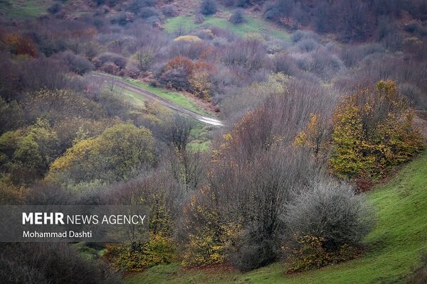 نامه ایران به کنوانسیون تنوع زیستی؛ درخواست محکومیت جنگ