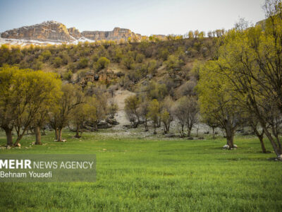 هشدار محیط زیست کردستان به طبیعت‌گردان در فصل زادآوری حیات‌وحش