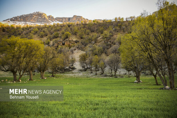 هشدار محیط زیست کردستان به طبیعت‌گردان در فصل زادآوری حیات‌وحش