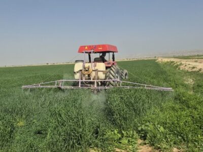 پیش‌بینی برداشت ۱۰ هزار تن گندم و جو در سربیشه