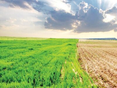 چالش‌های اقلیمی کشاورزی ایران؛ از خشکسالی تا امنیت غذایی