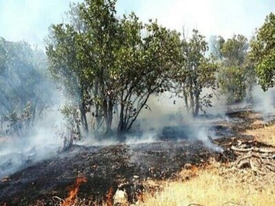 آمادگی محیط زیست برای مقابله با حوادث در مناطق حفاظت شده