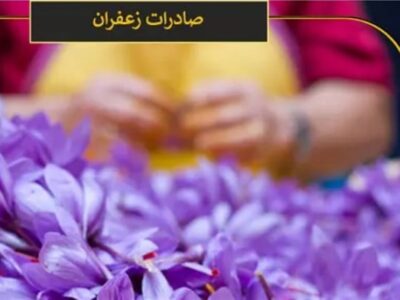 افشای آمار عجیب صادرات زعفران ایرانی توسط افغانستان