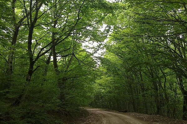 اقدامات گسترده دفتر مدیریت زیستگاه‌ها در سال ۱۴۰۴