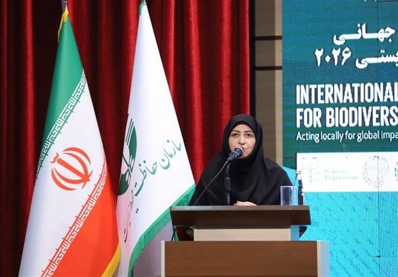 انصاری: یک میلیون و ۳۴۰ هزار هکتار ‌اراضی تالابی ‌سند مالکیت گرفت