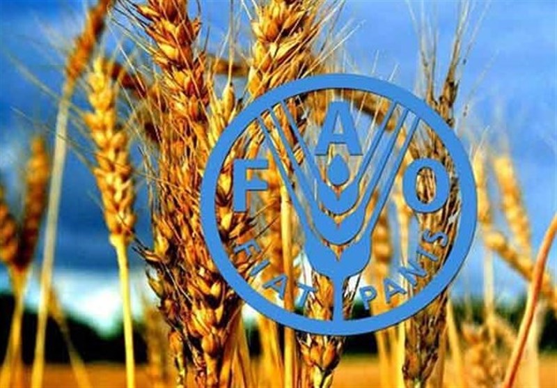 بدون تنوع زیستی، تولید غذا با خطر جدی مواجه است
