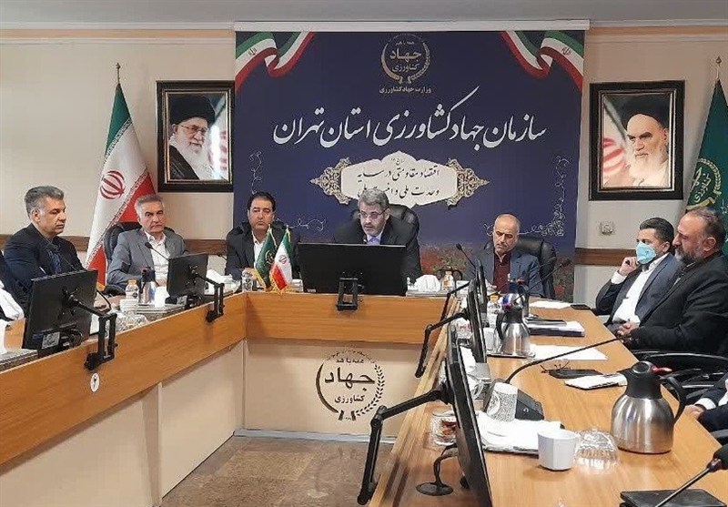 جهاد کشاورزی تهران: کمبودی در تأمین کالاهای اساسی وجود ندارد