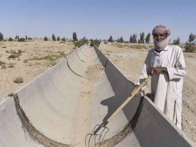 خشکسالی در سیستان و بلوچستان می‌تازد/ جنگ بی‌پایان با شن و عطش!