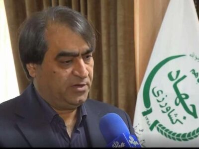 عرضه نامحدود مرغ منجمد در سراسر کشور