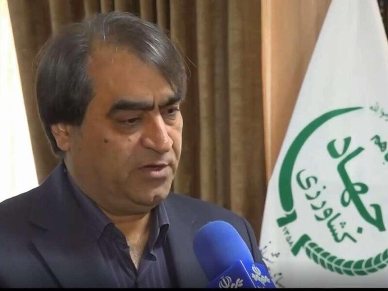 عرضه نامحدود مرغ منجمد در سراسر کشور
