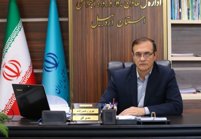 پرداخت ۲۲۶ میلیارد تومان تسهیلات مشاغل خانگی