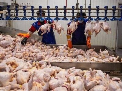 کاهش تشریفات اداری دامپزشکی برای تسهیل واردات گوشت و مرغ