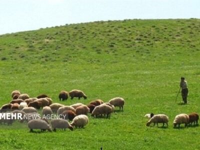 ارزش علوفه مراتع اصفهان به ۶ هزار میلیارد تومان می‌رسد