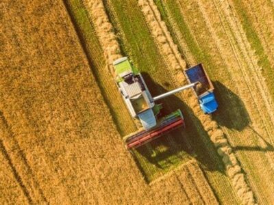 تاوان ۲۲۰ هزار میلیارد تومانی منابع یارانه‌ای برای خرید تضمینی گندم
