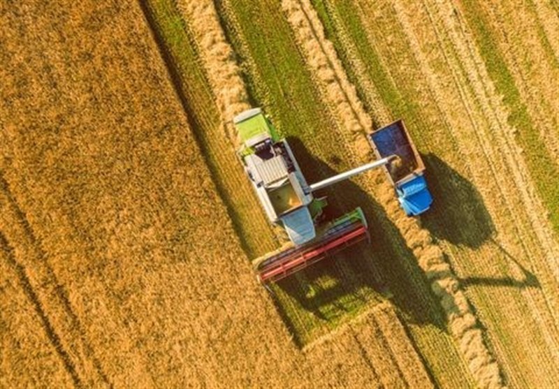 تاوان ۲۲۰ هزار میلیارد تومانی منابع یارانه‌ای برای خرید تضمینی گندم