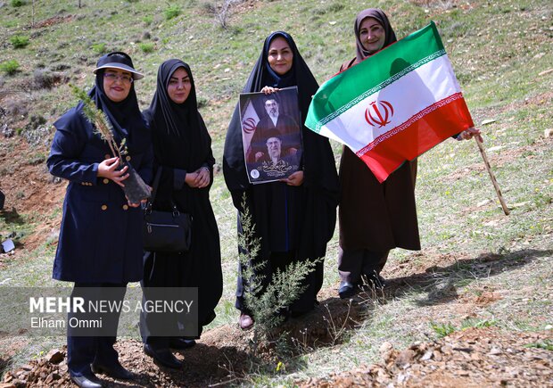 طرح کاشت یک میلیارد درخت در نیمه راه؛ بقای نهال‌ها مهم‌تر از آمار کاشت