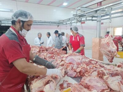 سختگیری جدید اروپا؛ فرصتی برای ارتقاء سلامت تولیدات دامی ایران