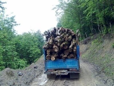 کشف ۱۳۲ تُن چوب و زغال جنگلی در اصفهان؛ ۴۸هکتار عرصه طبیعی رفع تصرف شد