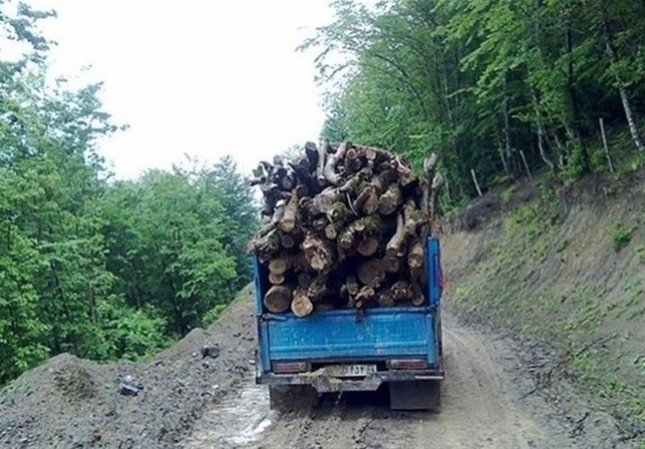کشف ۱۳۲ تُن چوب و زغال جنگلی در اصفهان؛ ۴۸هکتار عرصه طبیعی رفع تصرف شد
