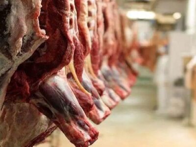 آغاز ثبت سفارش واردات گوشت گرم و منجمد از فردا