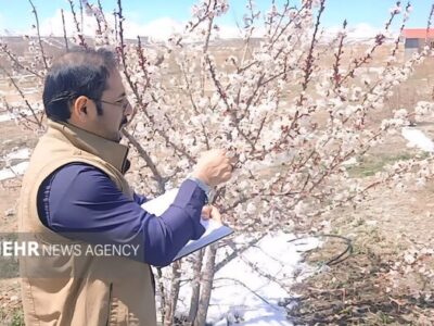آغاز مدیریت آفات در تعدادی از زیستگاه‌ها