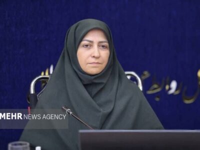 انصاری: ۷۰ درصد تالاب‌های کشور با مشکل کم‌آبی مواجه هستند