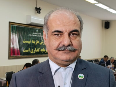 برداشت چوب از جنگل‌های هیرکانی ممنوع ماند