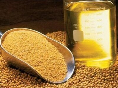 ثبت سفارش واردات انواع روغن از امروز آغاز شد