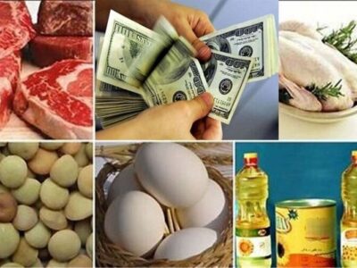 دستور رئیس‌جمهور هم گره کور تأمین کالای اساسی را باز نکرد