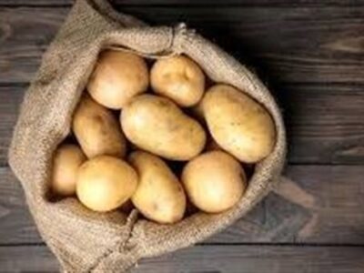 ۲۰ هزار تن سیب‌زمینی برای تنظیم بازار راهی بازار می‌شود